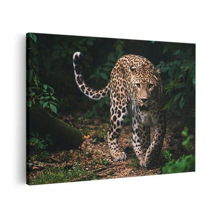 Canvas schilderij vooraanzicht Luipaard In Het Bos