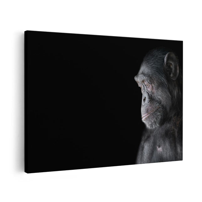 Canvas schilderij vooraanzicht Chimpansee Aap Op Zwart Achtergrond