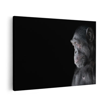 Canvas schilderij vooraanzicht Chimpansee Aap Op Zwart Achtergrond