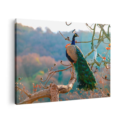 Canvas schilderij vooraanzicht Pauw In De Bomen