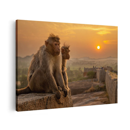 Canvas schilderij vooraanzicht Twee Apen Bekijken De Zonsondergang
