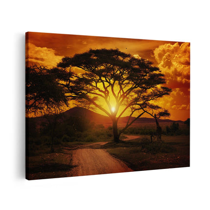 Canvas schilderij vooraanzicht Zonsondergang Achter Een Savanne Boom
