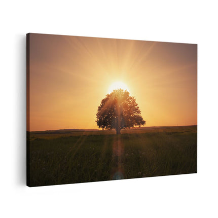 Canvas schilderij vooraanzicht Zonsondergang Achter Een Grote Boom