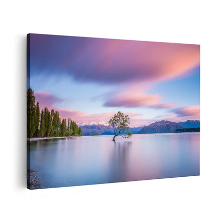 Canvas schilderij vooraanzicht Wanaka Boom In Het Water Bij Zonsopgang