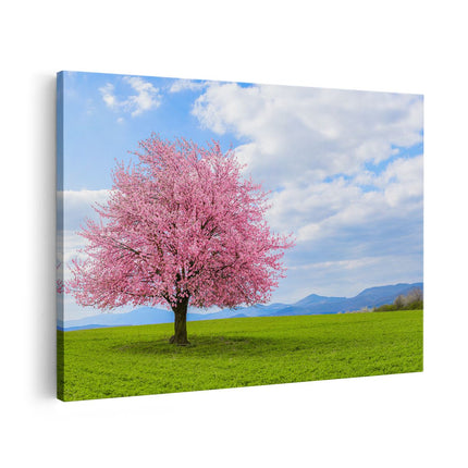 Canvas schilderij vooraanzicht Roze Sakura Bloesem Boom In Het Groene Veld