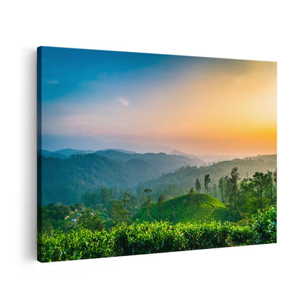 Canvas schilderij vooraanzicht Zonsondergang Op Een Thee Plantage 