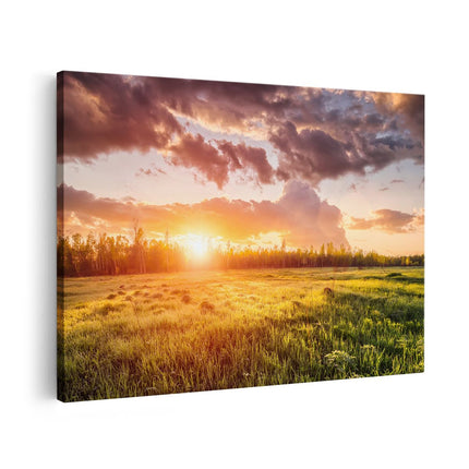 Canvas schilderij vooraanzicht Zonsopkomst In Het Veld