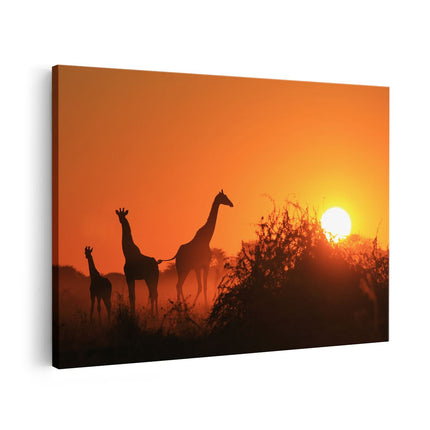 Canvas schilderij vooraanzicht Drie Giraffe Silhouetten Bij Zonsondergang