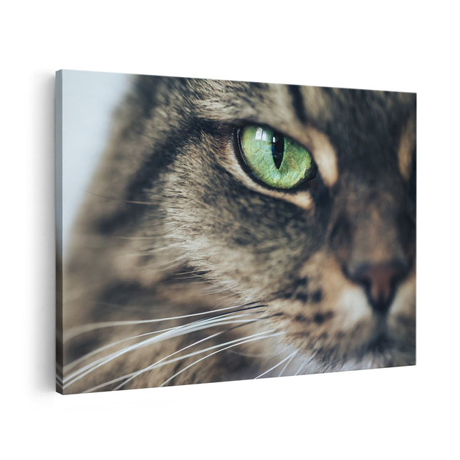 Canvas schilderij vooraanzicht Kat Met Groene Ogen Van Dichtbij