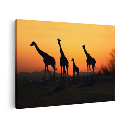 Canvas schilderij vooraanzicht Vier Giraffe Silhouetten Bij Zonsondergang