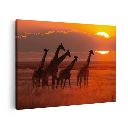 Canvas schilderij vooraanzicht Giraffe Kudde Bij Zonsondergang