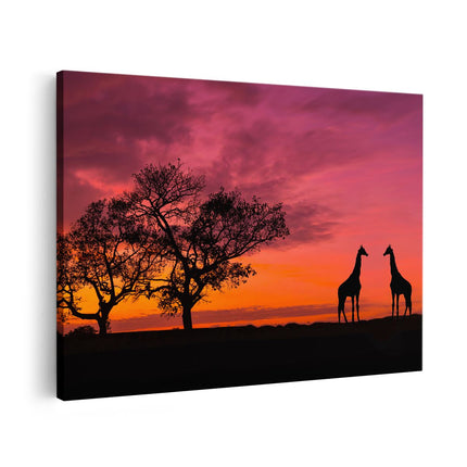 Canvas schilderij vooraanzicht Twee Giraffe Silhouetten Bij Zonsondergang