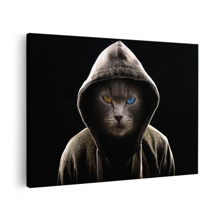 Canvas schilderij vooraanzicht Boze Kat Draagt Een Hoodie 