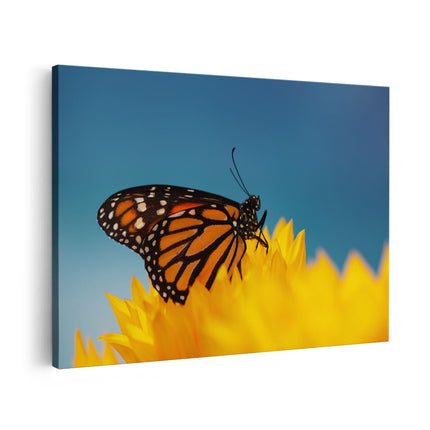 Canvas schilderij vooraanzicht Oranje Vlinder Bij Een Zonnebloem
