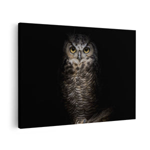 Canvas schilderij vooraanzicht Uil Op Een Tak In De Nacht