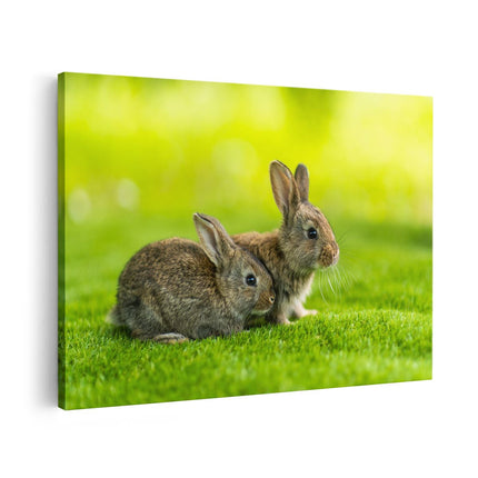 Canvas schilderij vooraanzicht Twee Konijnen Op Het Groene Gras
