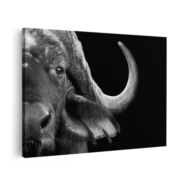 Canvas schilderij vooraanzicht Buffel - Buffelkop - Zwart Wit