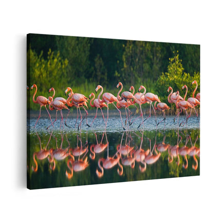 Canvas schilderij vooraanzicht Kudde Flamingo's op het Water