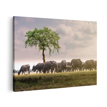 Canvas schilderij vooraanzicht Kudde Buffels bij een Boom