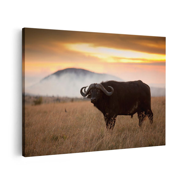 Canvas schilderij vooraanzicht Buffel in het Gras