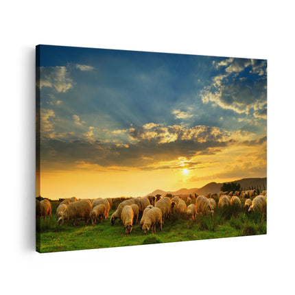 Canvas schilderij vooraanzicht Kudde Schapen op het Gras bij Zonsondergang