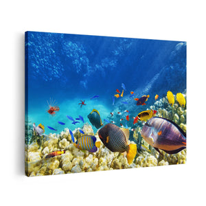 Canvas schilderij vooraanzicht Vissen in de Oceaan met Koralen