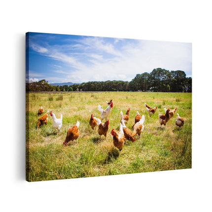 Canvas schilderij vooraanzicht Kippen in het Gras