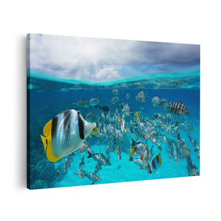 Canvas schilderij vooraanzicht Zwerm Gele Vissen in het Water