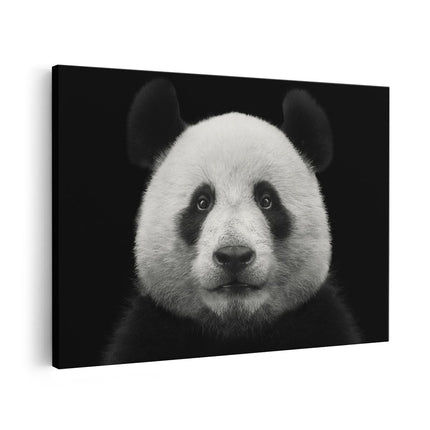 Canvas schilderij vooraanzicht Panda - Pandakop 