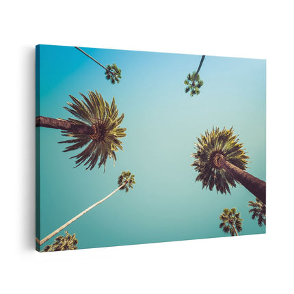 Canvas schilderij vooraanzicht Palmbomen met Bladeren in de Lucht