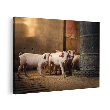 Canvas schilderij vooraanzicht Varkens op een Boerderij Stal