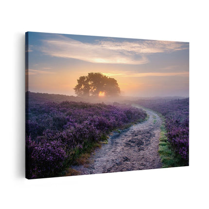 Canvas schilderij vooraanzicht Pad in de Weide van de Veluwe