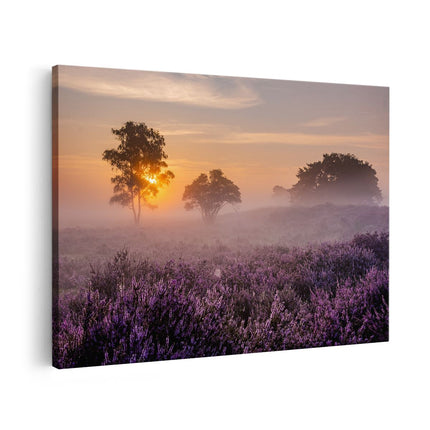 Canvas schilderij vooraanzicht Weide in de Veluwe bij Zonsondergang