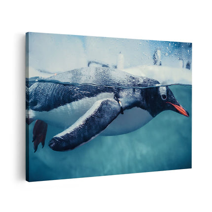 Canvas schilderij vooraanzicht Pinguïn Zwemt in het Water