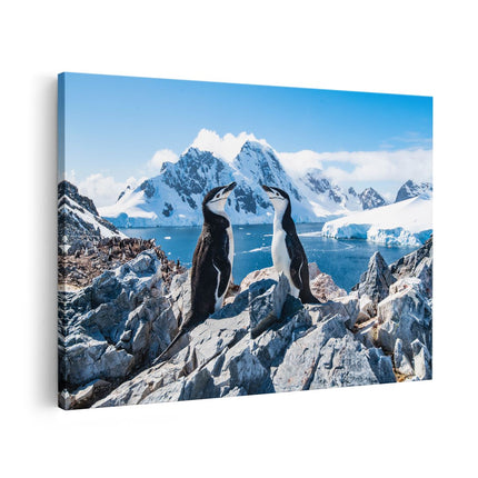 Canvas schilderij vooraanzicht Twee Pinguïns op Stenen in Antarctica
