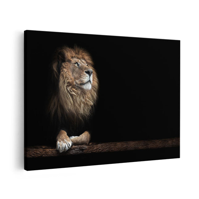 Canvas schilderij vooraanzicht Leeuw in het Donker op een Boomstronk