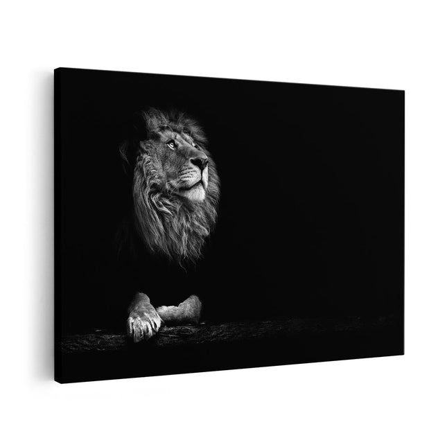 Canvas schilderij vooraanzicht Leeuw in het Donker op een Boomstronk - Zwart Wit