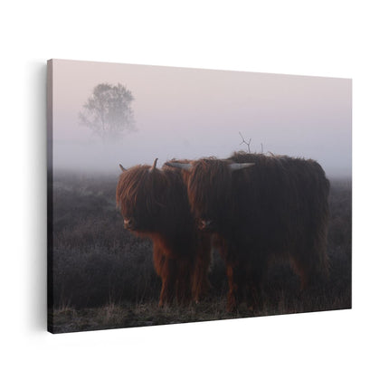 Canvas schilderij vooraanzicht Twee Schotse Hooglanders in de Mist