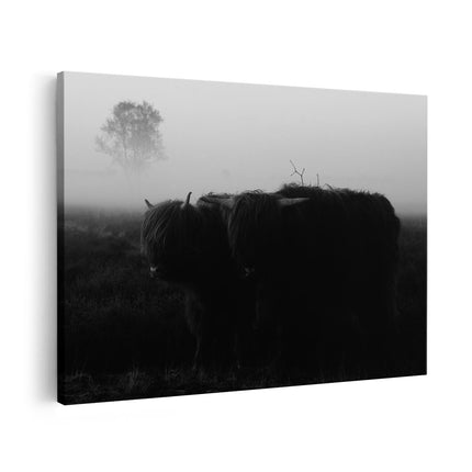 Canvas schilderij vooraanzicht Twee Schotse Hooglanders in de Mist - Zwart Wit