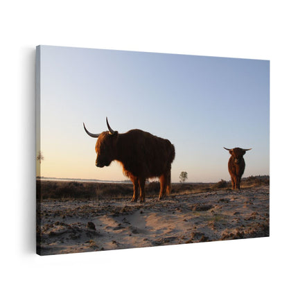 Canvas schilderij vooraanzicht Twee Schotse Hooglanders op het Strand