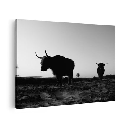 Canvas schilderij vooraanzicht Twee Schotse Hooglanders op het Strand - Zwart Wit