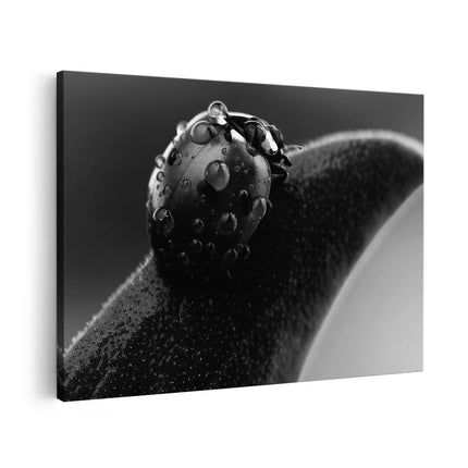 Canvas schilderij vooraanzicht Lieveheersbeestje op een Blad met Waterdruppels - Zwart Wit