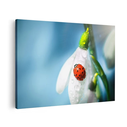 Canvas schilderij vooraanzicht Lieveheersbeestje op een Sneeuwklokje Bloem