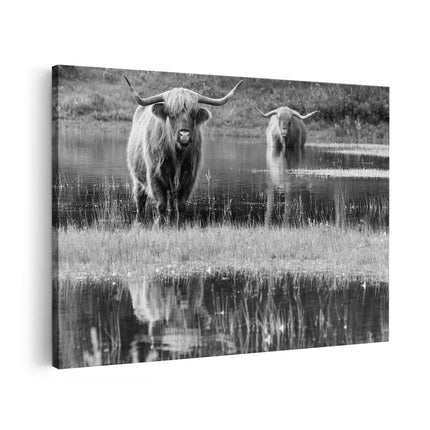 Canvas schilderij vooraanzicht Twee Schotse Hooglanders in het Moeras - Zwart Wit