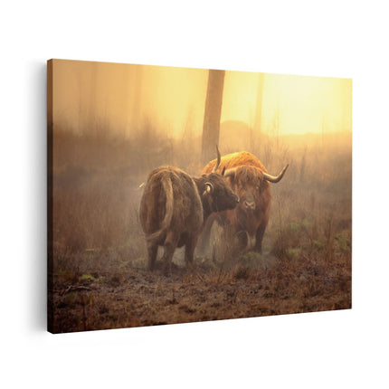 Canvas schilderij vooraanzicht Twee Schotse Hooglanders in de Mist