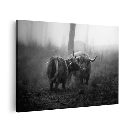 Canvas schilderij vooraanzicht Twee Schotse Hooglanders in de Mist - Zwart Wit