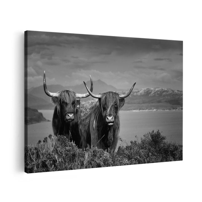 Canvas schilderij vooraanzicht Twee Schotse Hooglanders bij een Meer - Zwart Wit