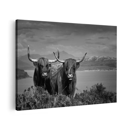 Canvas schilderij vooraanzicht Twee Schotse Hooglanders bij een Meer - Zwart Wit