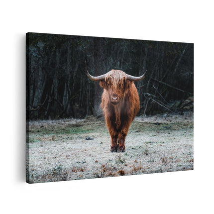 Canvas schilderij vooraanzicht Schotse Hooglander bij het Bos