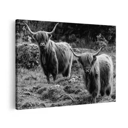 Canvas schilderij vooraanzicht Twee Schotse Hooglanders bij Stenen - Zwart Wit